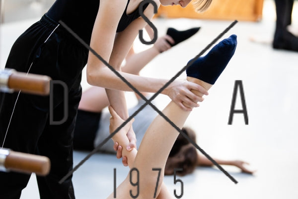 15. lesson 15 Barre a terre classical Aline Demuyseren B 8-10 y 2018